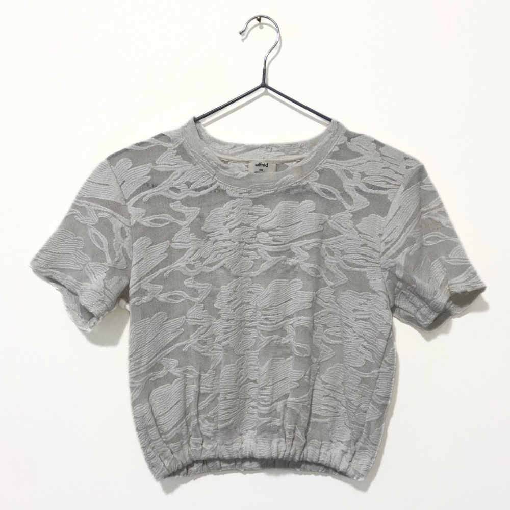 Wilfred | Aritzia White Mesh Piaf Cropped T-Shirt Size XXS